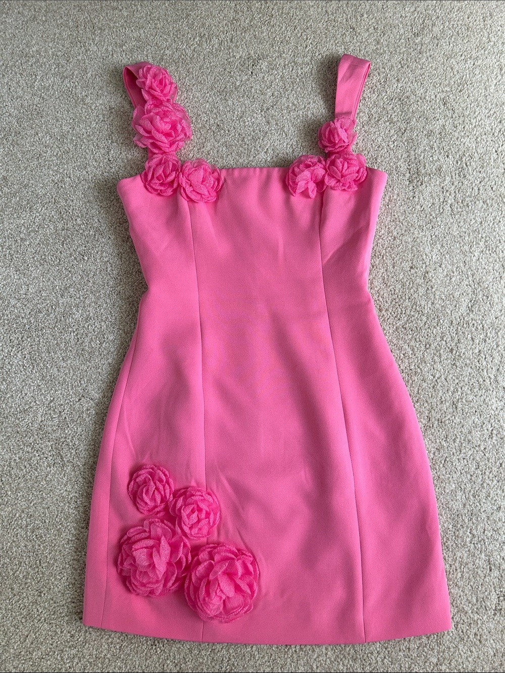 Elliatt Trompe 3D Floral Mini Dress